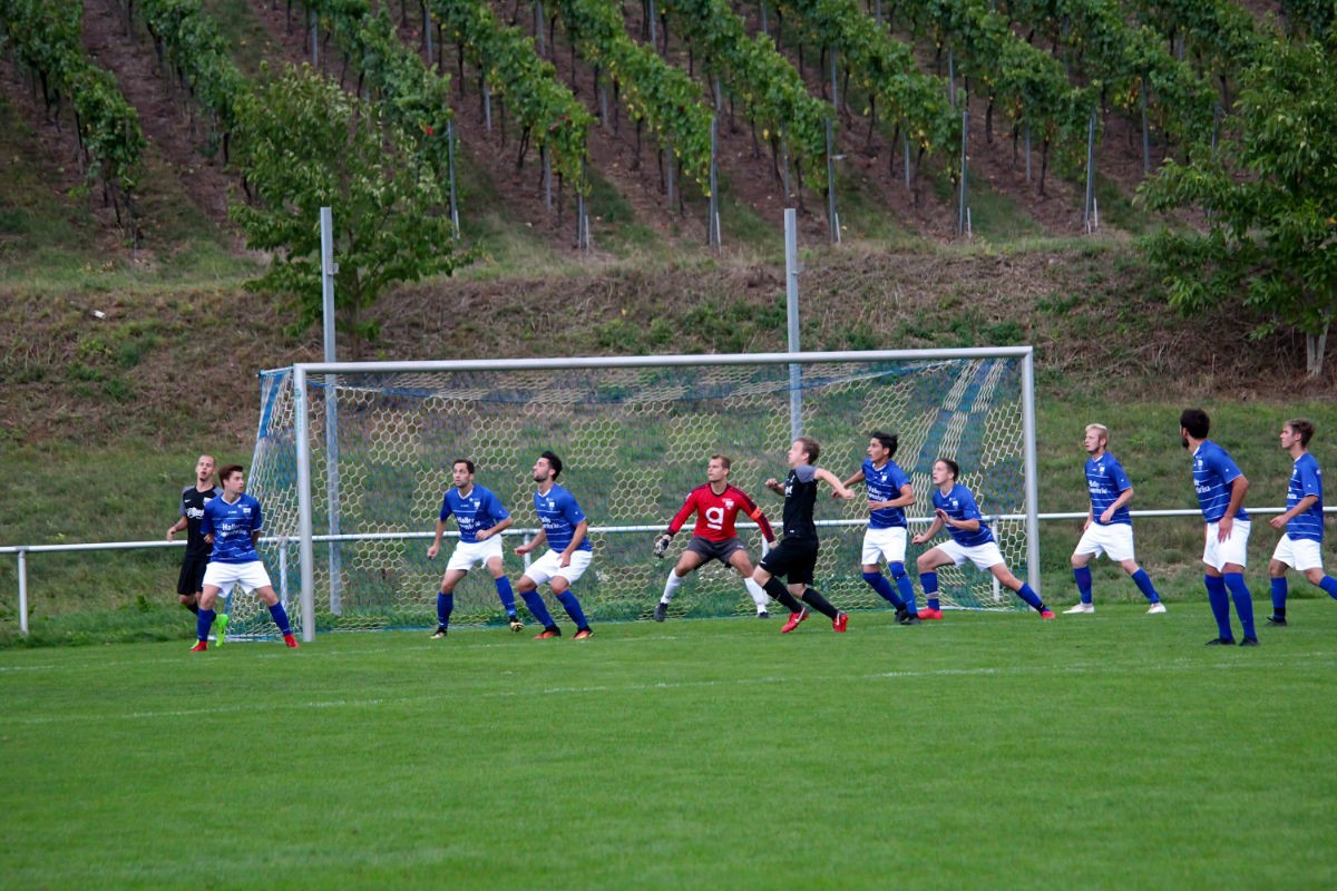 TSV Löwenstein - SVS