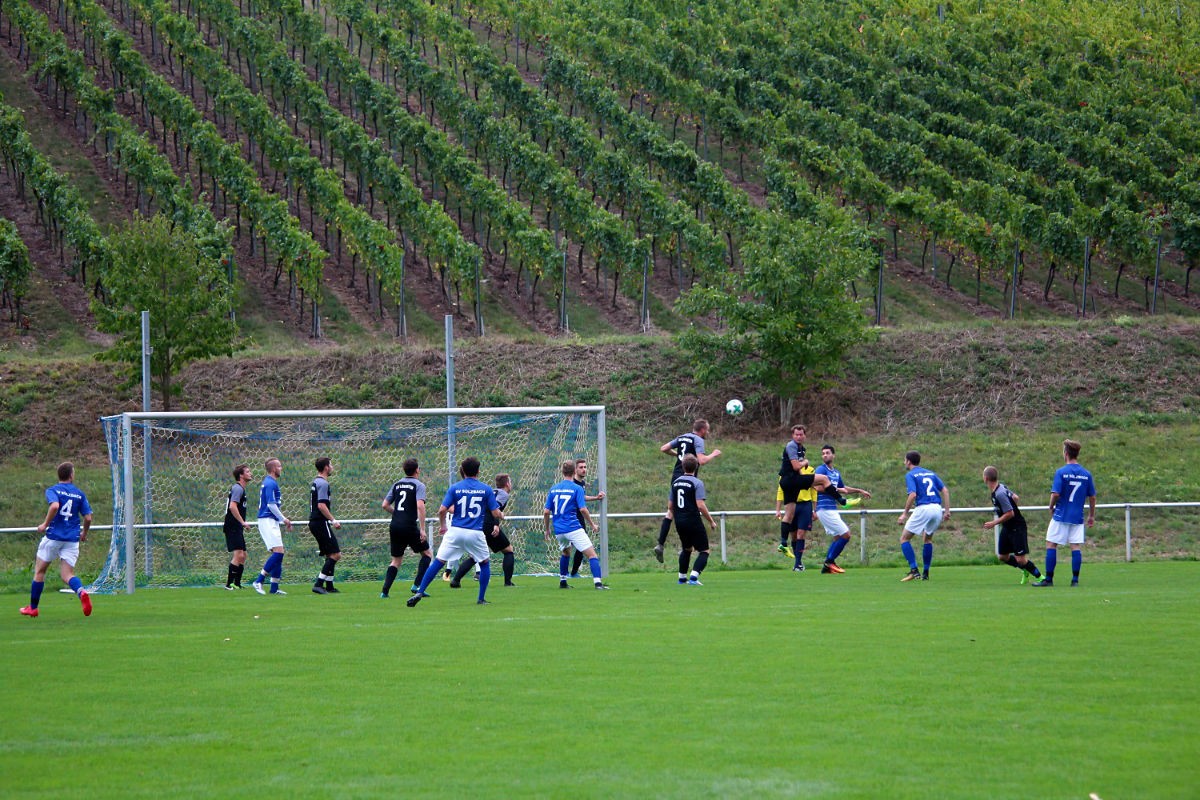 TSV Löwenstein - SVS
